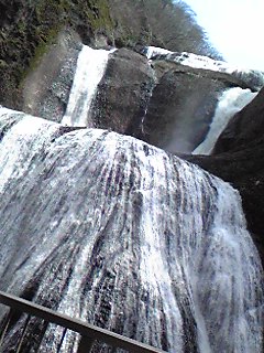 �t�N���_�t�H�[������